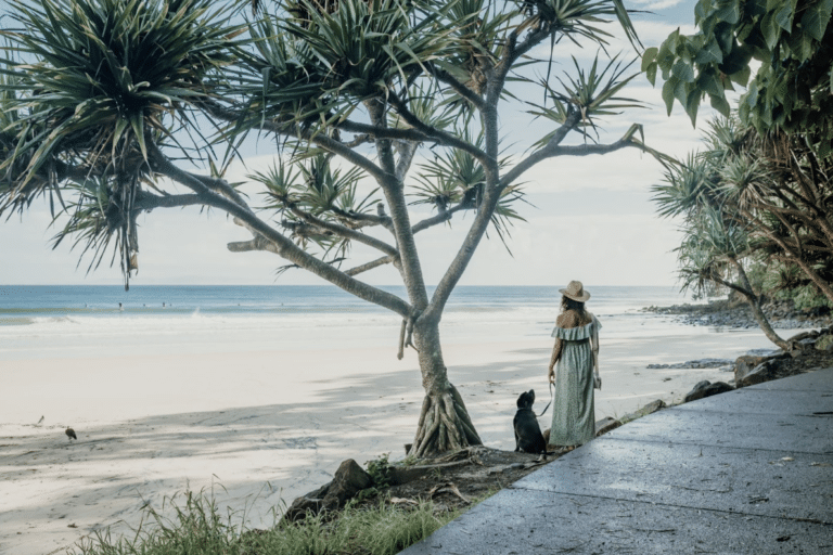 noosa beaches