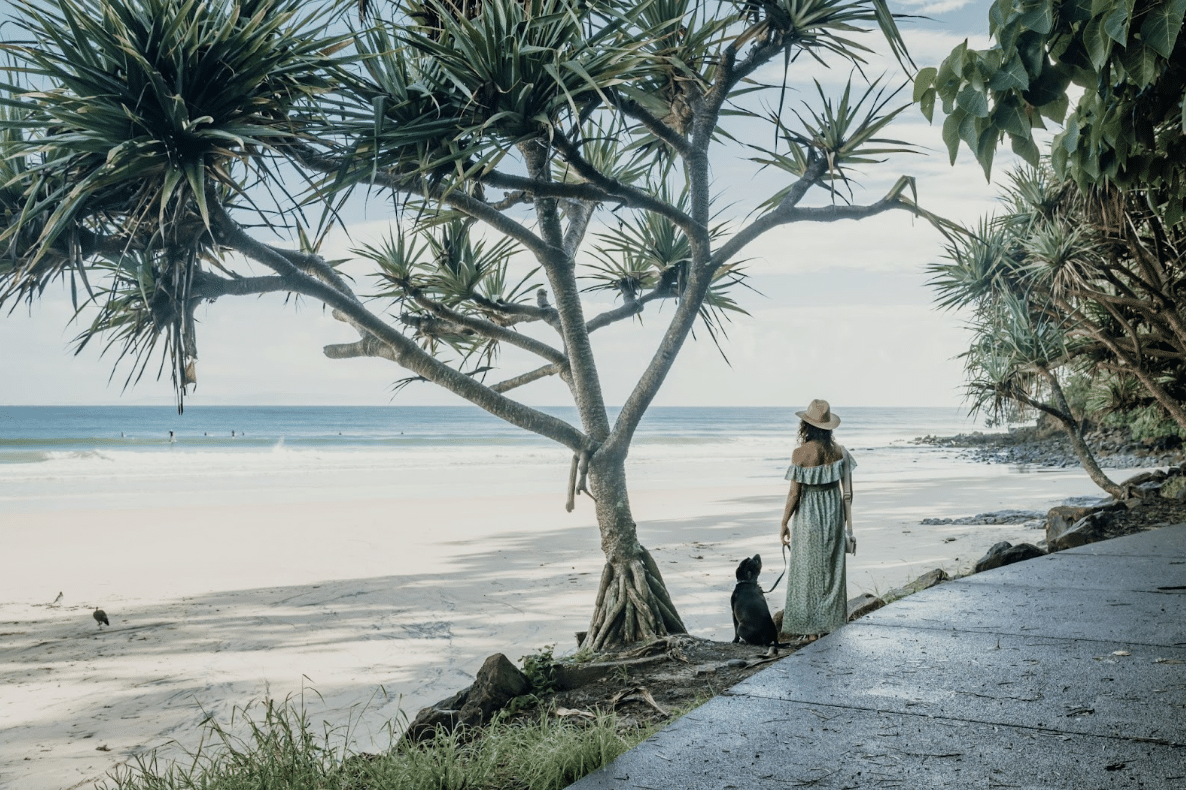 noosa beaches